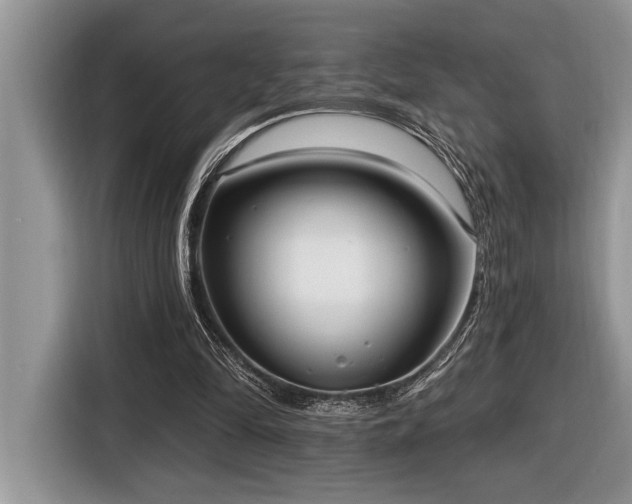 X0000116430294200912081530