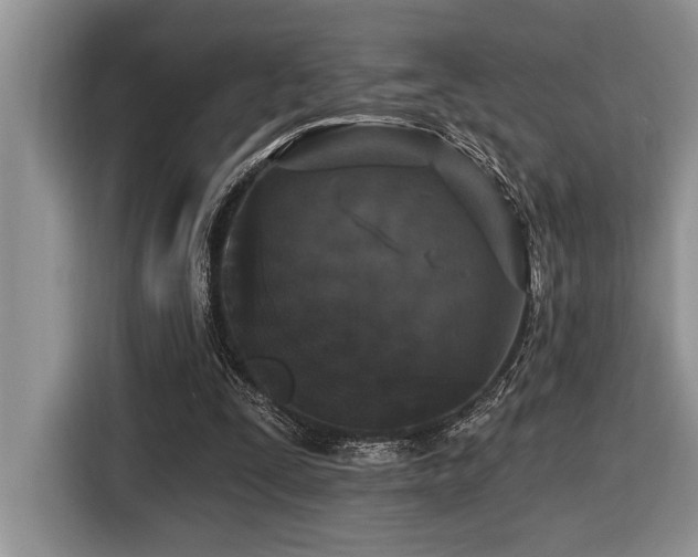 X0000116430295200912081530