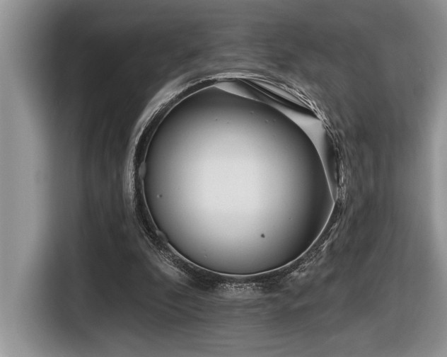 X0000116430296200912081530