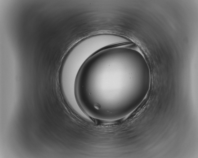 X0000116430297200912081530
