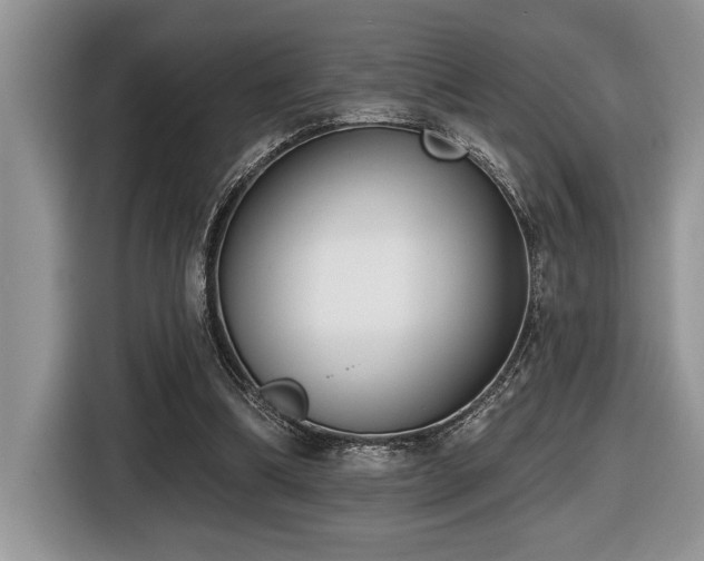 X0000116430298200912081530