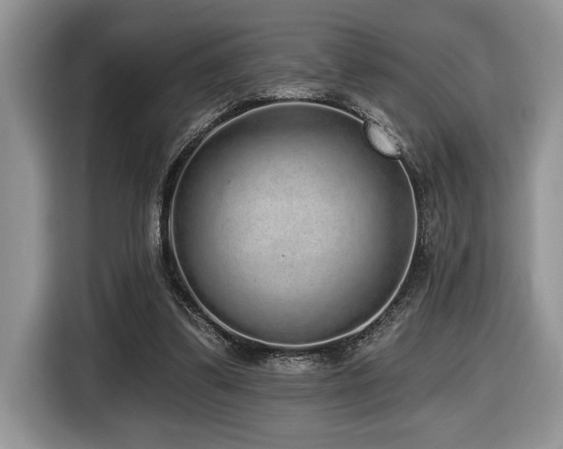 X0000116430299200912081530