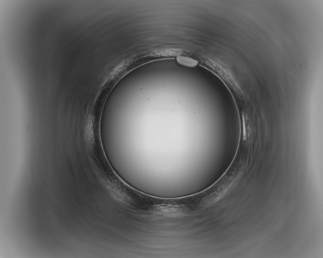 X0000116430300200912081530