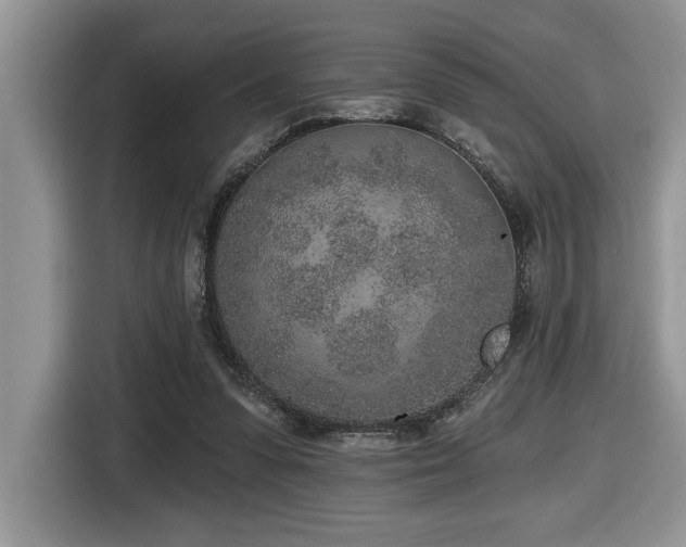 X0000116430303200912081530