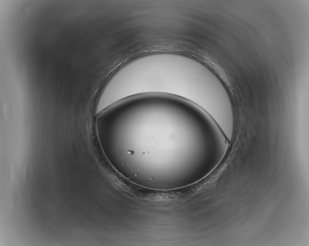 X0000116430305200912081530