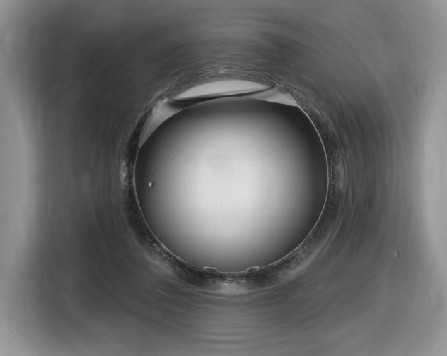 X0000116430308200912081530