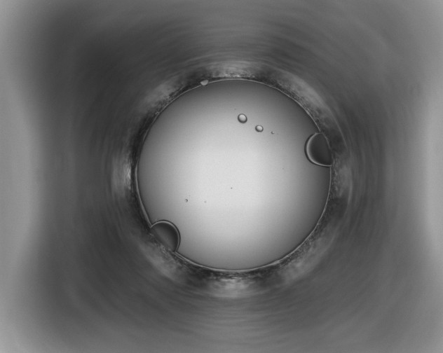 X0000116430310200912081530