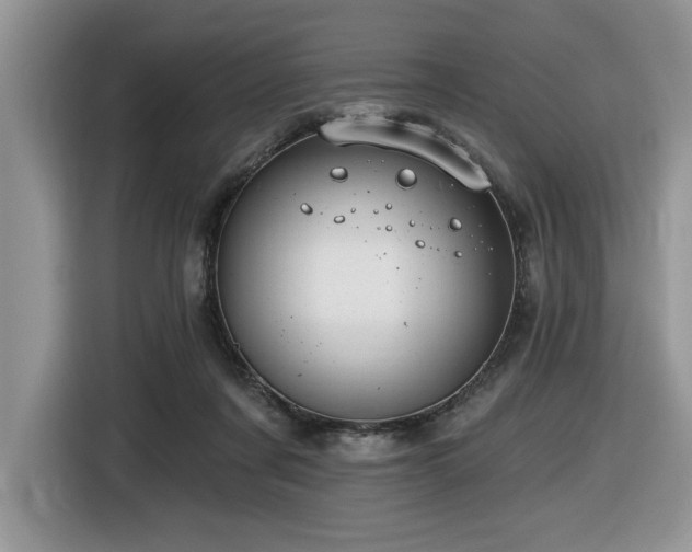 X0000116430311200912081530
