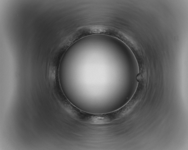 X0000116430315200912081530