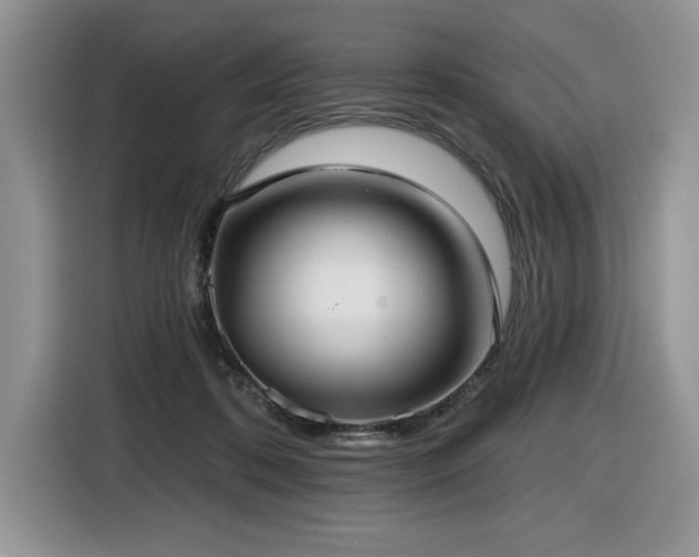 X0000116430316200912081530