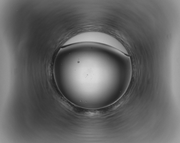 X0000116430317200912081530