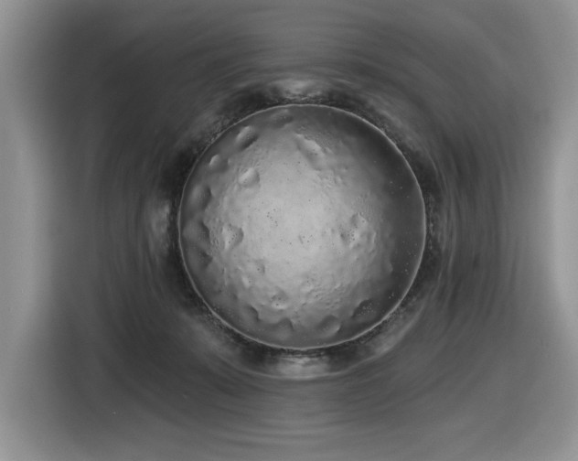 X0000116430319200912081530