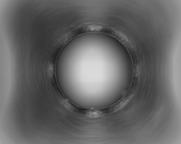 X0000116430321200912081529