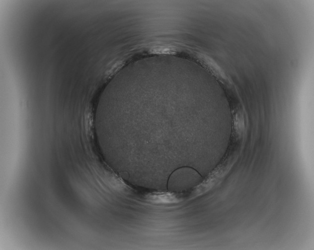 X0000116430322200912081529