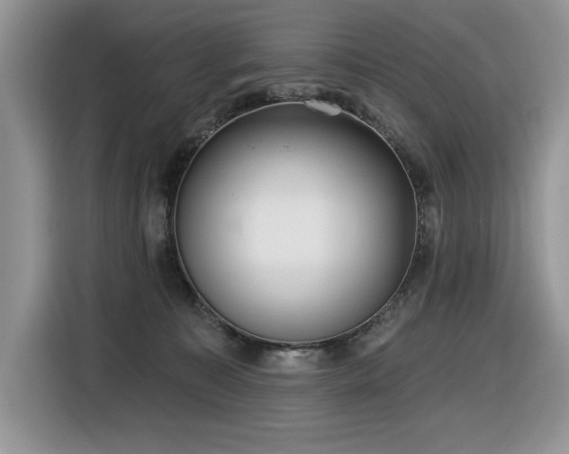 X0000116430323200912081529