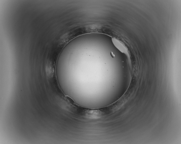 X0000116430324200912081529