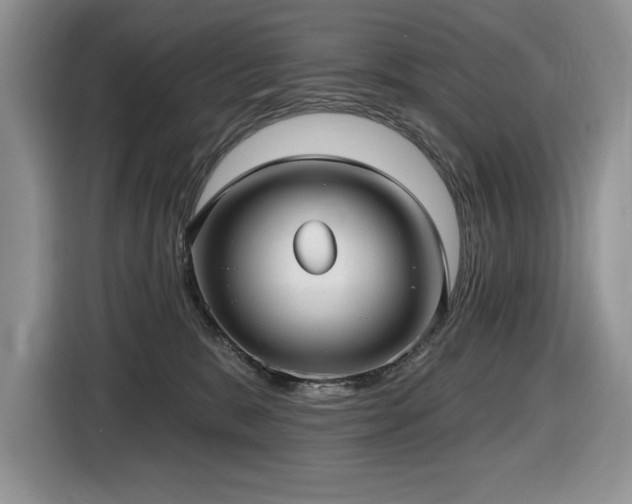 X0000116430327200912081529