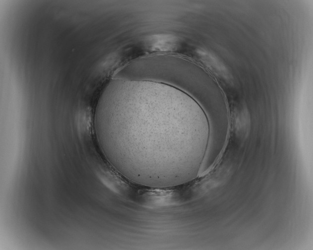 X0000116430328200912081529