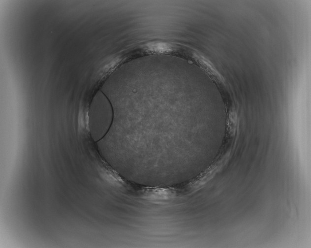 X0000116430330200912081529