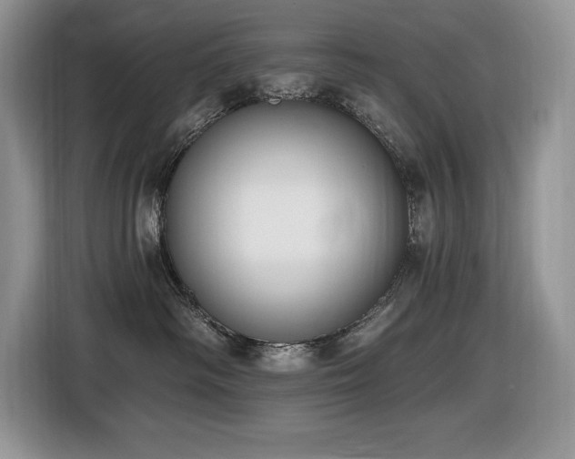 X0000116430334200912081529