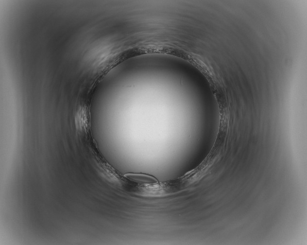 X0000116430335200912081529