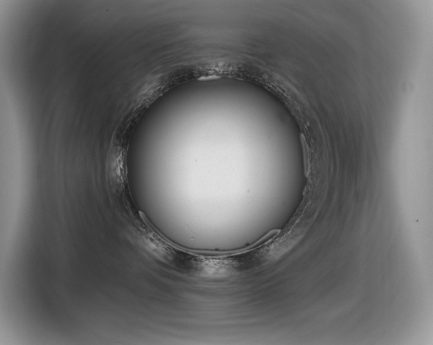 X0000116430336200912081529