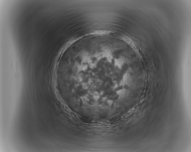 X0000116430337200912081529