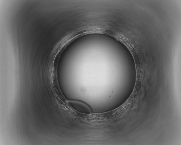 X0000116430338200912081529