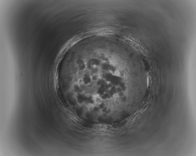X0000116430339200912081529