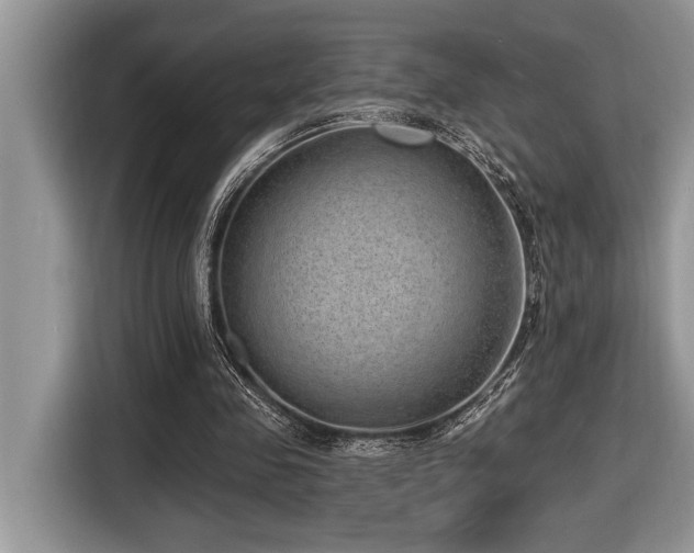 X0000116430341200912081529
