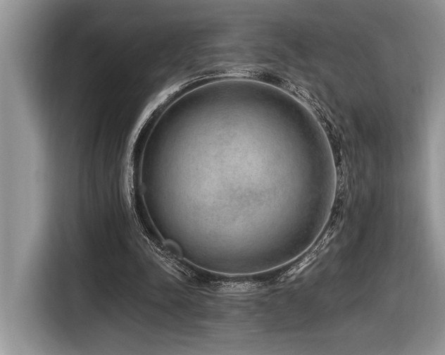 X0000116430342200912081529