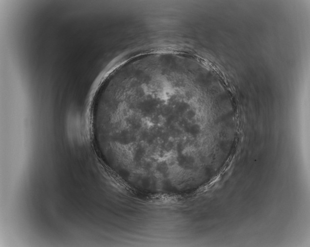 X0000116430343200912081529