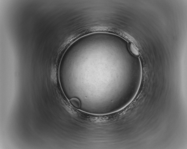 X0000116430345200912081529