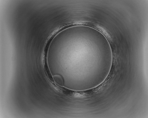 X0000116430346200912081529