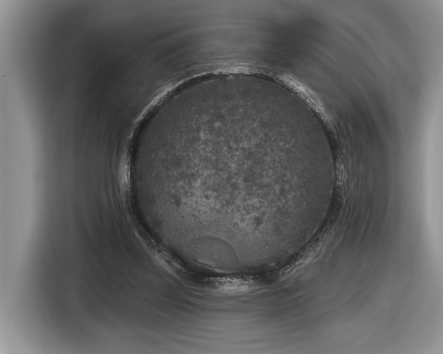 X0000116430347200912081529