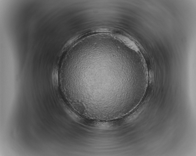 X0000116430349200912081529