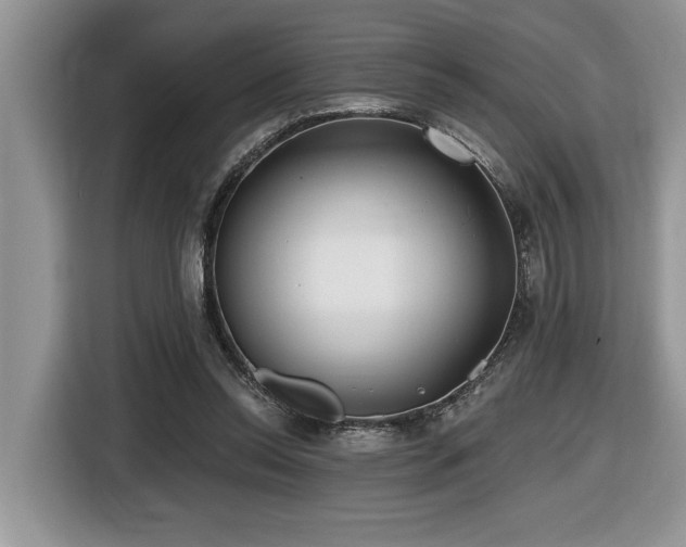 X0000116430350200912081529