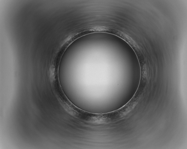 X0000116430351200912081529