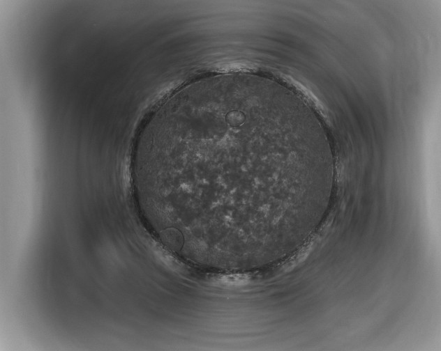 X0000116430353200912081529