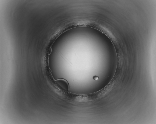 X0000116430354200912081529