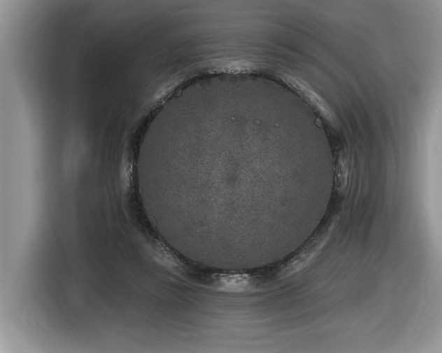 X0000116430355200912081529