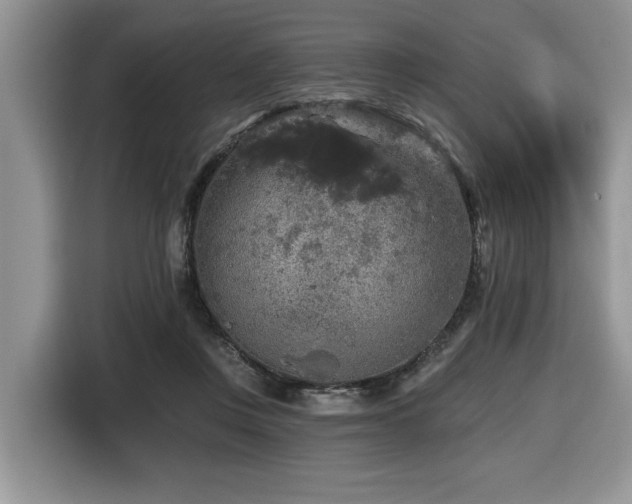X0000116430359200912081529