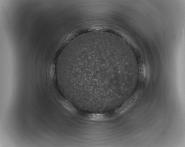X0000116430361200912081529