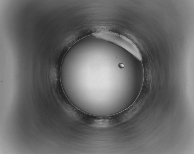 X0000116430362200912081529