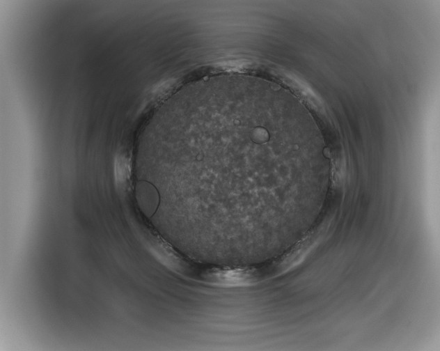 X0000116430365200912081529