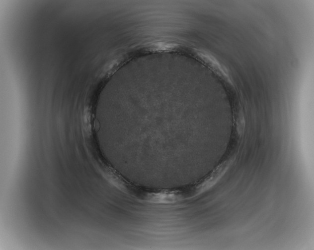 X0000116430366200912081529