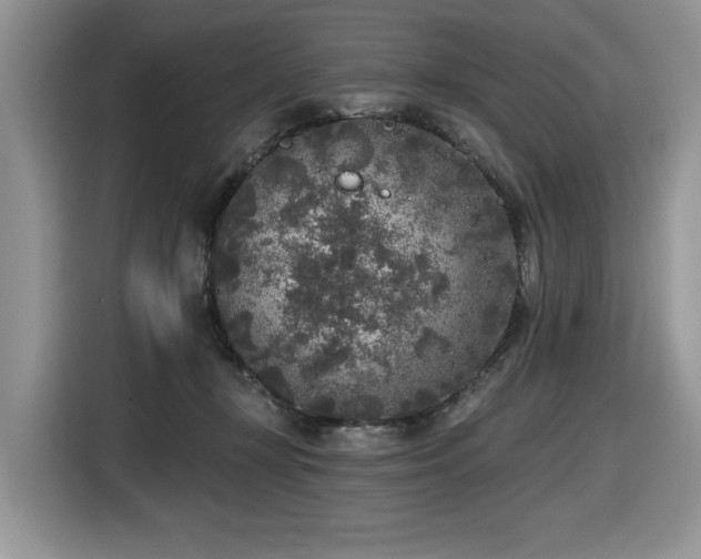 X0000116430367200912081529