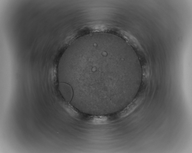 X0000116430369200912081529