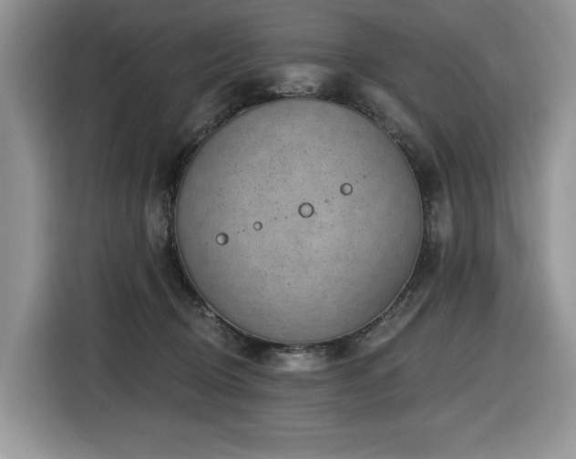 X0000116430370200912081529