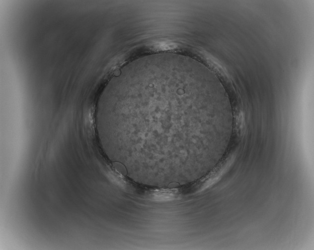 X0000116430373200912081529